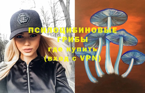 2c-b Алексин