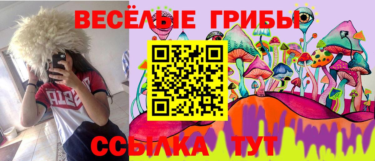 Псилоцибиновые грибы MAGIC MUSHROOMS Качканар