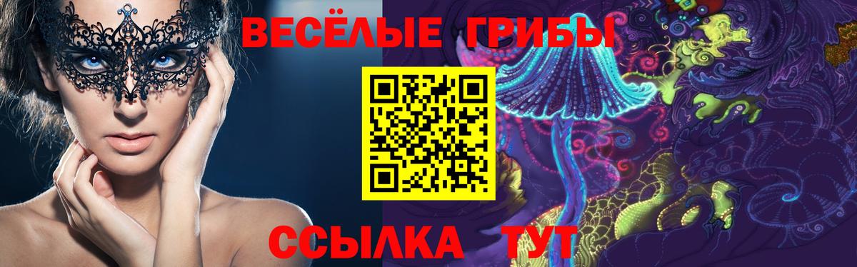 Псилоцибиновые грибы Psilocybine cubensis  Вход с VPN  Качканар  Псилоцибиновые грибы мухоморы 